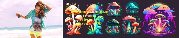мдпв Бронницы