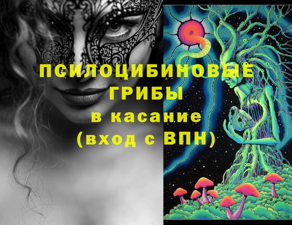 спайс Баксан