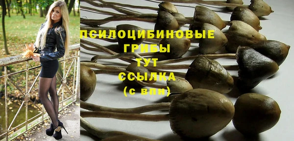 ECSTASY Балахна
