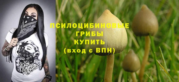 спайс Баксан