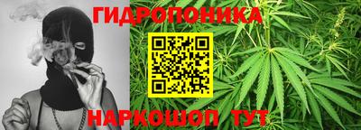 ALPHA-PVP Можга