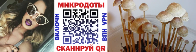 Псилоцибиновые грибы мицелий купить наркотик Спасск-Дальний