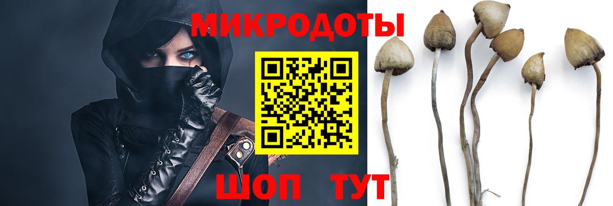 Галлюциногенные грибы ЛСД  Вход с VPN  Спасск-Дальний  Галлюциногенные грибы Psilocybe 